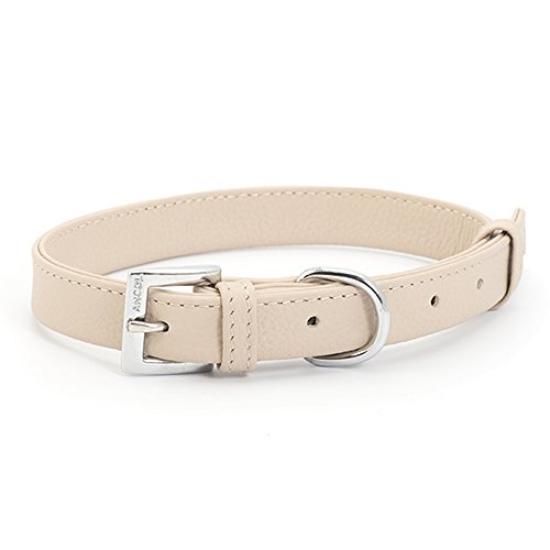 Ancol Indulgence Hundehalsband gefaltet, XS, beige/rot/Soft Truffle von Ancol