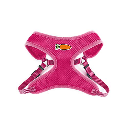 Ancol Kleintier-Geschirr und Leine, groß, rosa, 1 kg von Ancol