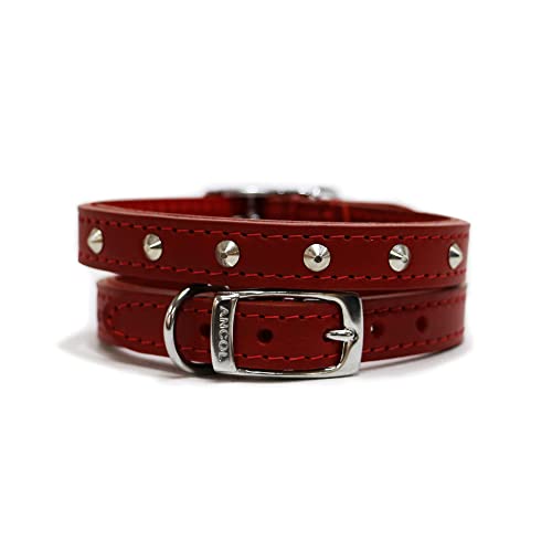 Ancol Lederhalsband mit Nieten, rot, 20-26 cm, Größe 1 von Ancol