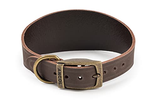 Ancol Timberwolf Windhund-Halsband, Leder, braun, passend für Halsumfang von 34-43 cm von Ancol