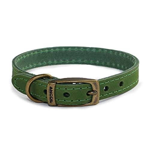 Ancol Timberwolf Lederhalsband grün 39-48cm Gr. 5 von Ancol