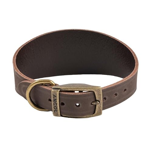 Ancol Timberwolf Lederhalsband für Halsumfang von 30–34 cm von Ancol