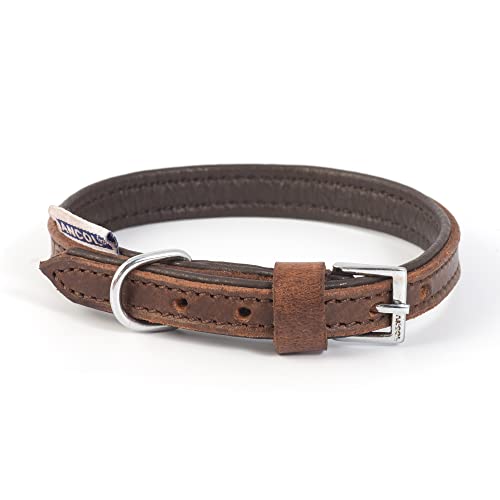 Ancol Strapazierfähiges Vintage-Hundehalsband, gepolstert, Leder, handgefertigt, genarbtes Leder, bequemes Trainingszubehör, Elegantes traditionelles Design, 28–36 cm, Größe 3 Ancol Strapazierfähiges Vintage-Hundehalsband, gepolstert, Leder, handgefertigt, genarbtes Leder, bequemes Trainingszubehör, Elegantes traditionelles Design, 28–36 cm, Größe 3 von Ancol