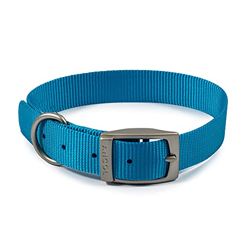 Ancol Viva Hundehalsband, leicht, verstellbar, wetterfest, Blaue Schnalle, Haustier-Trainingszubehör, Größe 5 Ancol Viva Hundehalsband, leicht, verstellbar, wetterfest, Blaue Schnalle, Haustier-Trainingszubehör, Größe 5 von Ancol