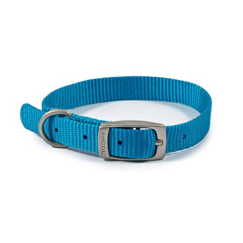 Ancol Viva Hundehalsband, leicht, mit Schnalle, Größe 1, für 20-26 cm, wetterfest, Blau von Ancol