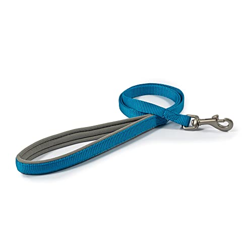 Ancol Viva Hundeleine, gepolstert, 100 x 1,2 cm, Blau von Ancol