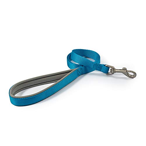 Ancol Viva Hundeleine, gepolstert, 100 x 1,9 cm, Blau von Ancol