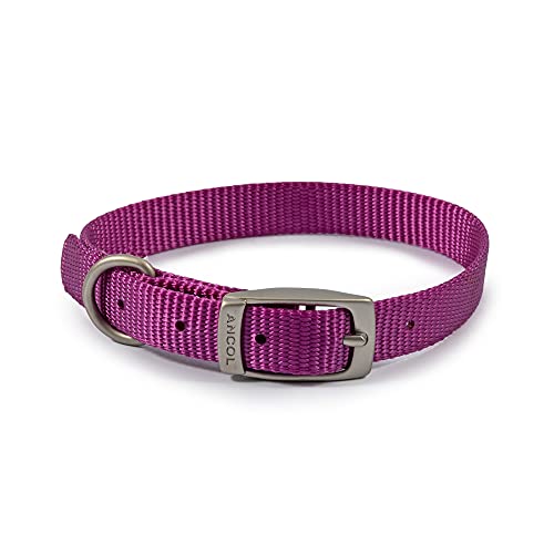 Ancol Viva Leichtes Schnallenhalsband lila Größe 2 bis 26-31 cm wetterfest von Ancol