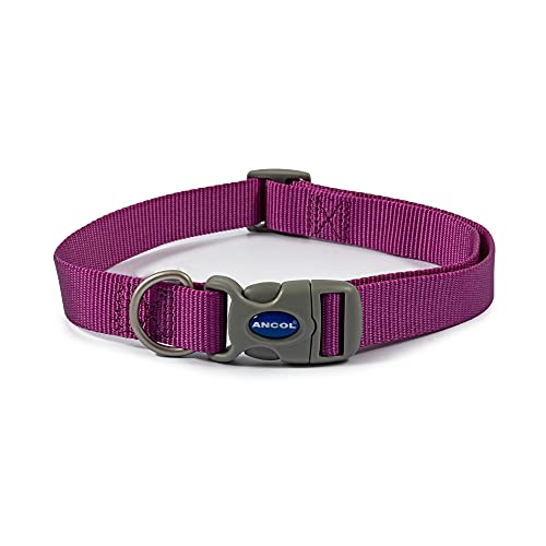 Ancol Viva Quick Fit Hundehalsband, verstellbar, strapazierfähig, wetterfest, Polygewebe, 45–70 cm, Größe 5–9, Violett von Ancol