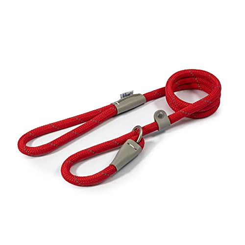 Ancol Viva Retrieverleine, reflektierendes Seil und echtes Leder, 150 x 1,2 cm, Rot von Ancol