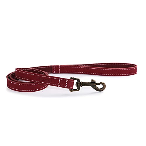 Ancol Timberwolf Leder-Hundeleine in Himbeerfarben, hochwertiges genarbtes Zaumzeug, strapazierfähiges Haustier-Zubehör mit antikem goldfarbenem Haken, 1 m x 19 mm von Ancol