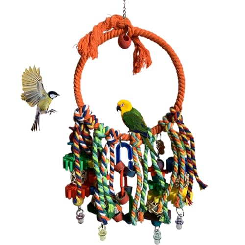 Ancsttu Bird Swing, Bunter Ring Schaukel Vogel Spielzeug, Sittich Käfigzubehör Interaktives Spielzeug Zum Klettern Spielen Innen Außen Für Papageien Liebesvögel von Ancsttu