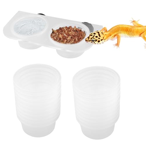 Ancsttu Chamäleon Futterautomat | Magnetisch Befestigbarer Reptilien-Fütterungsbehälter | Wasserspender Für Chamäleon Schlange Schildkröte Einsiedlerkrebs Terrarium-Zubehör von Ancsttu