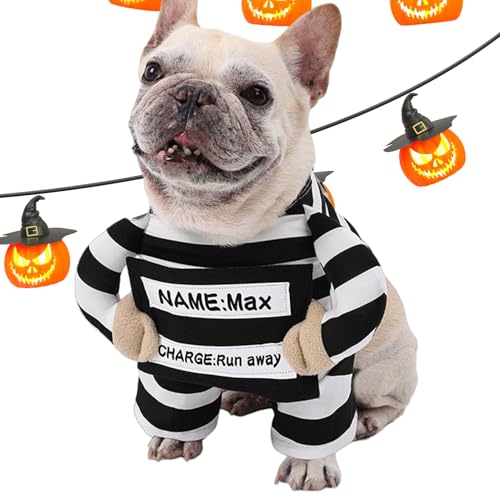 Ancsttu Hunde Halloween Kostüm - Tierbekleidung - Lustige Verkleidungen Für Kostümfeste Und Urlaubsfotoshootings Zum Verkleiden Ancsttu Hunde Halloween Kostüm - Tierbekleidung - Lustige Verkleidungen Für Kostümfeste Und Urlaubsfotoshootings Zum Verkleiden von Ancsttu