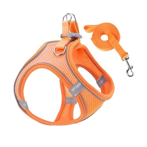 Ancsttu Hundegeschirr Und Leinen Set - Geschirr Und Leinen Mittelgroße Hunde - Ausbruchsicheres Welpen Katzen Weste Mit Reflektierenden Gurten Für Wanderungen Camping Ausflüge Outdoor Ancsttu Hundegeschirr Und Leinen Set - Geschirr Und Leinen Mittelgroße Hunde - Ausbruchsicheres Welpen Katzen Weste Mit Reflektierenden Gurten Für Wanderungen Camping Ausflüge Outdoor von Ancsttu