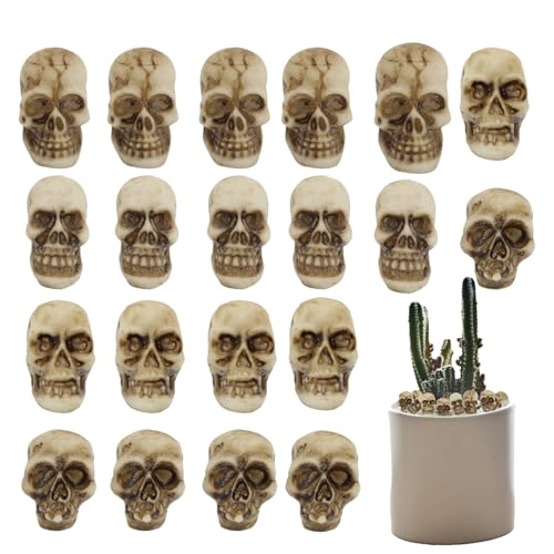 Ancsttu Kunstharz-Schädel | Halloween Deko Figur,20-teilige Miniatur-Sammlung Für Gruselpartys Als Scherzartikel Für Bücherregal Schreibtisch Bar Ancsttu Kunstharz-Schädel | Halloween Deko Figur,20-teilige Miniatur-Sammlung Für Gruselpartys Als Scherzartikel Für Bücherregal Schreibtisch Bar von Ancsttu