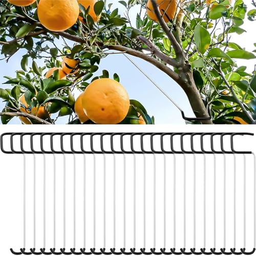 Astspreizer Für Obstbäume, 12/24 Stücke Spreizeraststütze Für Obstbäume, 26cm Pflanzenstütze Astspreizer, Zweigspreizer Pflanzenspreizer Werkzeug Für Obstbäumes In Gärten Und Auf Farmen von Ancsttu