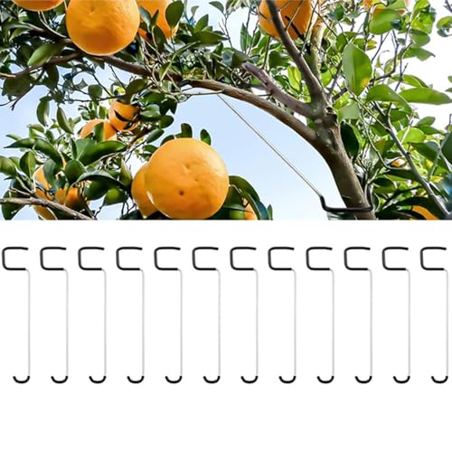 Astspreizer Für Obstbäume, 12/24 Stücke Spreizeraststütze Für Obstbäume, 26cm Pflanzenstütze Astspreizer, Zweigspreizer Pflanzenspreizer Werkzeug Für Obstbäumes In Gärten Und Auf Farmen von Ancsttu