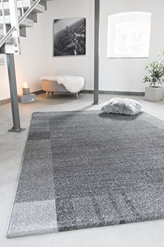 andiamo Webteppich moderner stilvoller Kurzflor Teppich robust und pflegeleicht aus 100% Polypropylen geeignet für Fußbodenheizung und Saugroboter 160 x 230 cm Bordüre Grau von andiamo