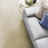 Andiamo Teppichboden "Kira, Velours, Made in Belgium" rechteckig 8 mm Höhe Uni Farben, Breite 400 cm, strapazierfähig, pflegeleicht, Wohnzimmer Andiamo Teppichboden "Kira, Velours, Made in Belgium" rechteckig 8 mm Höhe Uni Farben, Breite 400 cm, strapazierfähig, pflegeleicht, Wohnzimmer von Andiamo