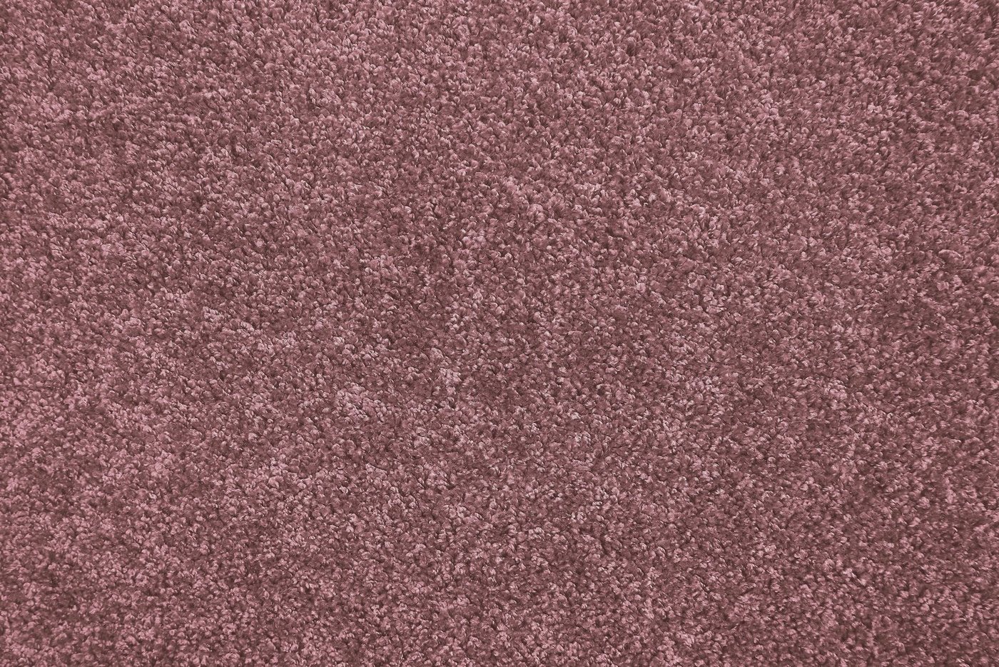 Teppichboden Velours Portland, Andiamo, rechteckig, Höhe: 11 mm, Uni Farben, Breite 400 cm, strapazierfähig, pflegeleicht von Andiamo