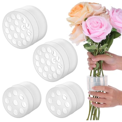 Andibro Ikebana-Stielhalter, Spiral-Stielhalter für Blumen, DIY-Blumenstrauß, Twister, Blumenarrangement, Halter, runde Blumenarrangements, 4 Stück Andibro Ikebana-Stielhalter, Spiral-Stielhalter für Blumen, DIY-Blumenstrauß, Twister, Blumenarrangement, Halter, runde Blumenarrangements, 4 Stück von Andibro