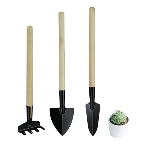 Andiker 3-teiliges Blumen-Gartenwerkzeug-Set, langlebige Handwerkzeuge mit rutschfesten, ergonomischen Griffen, Sukkulenten-Werkzeug-Set für Outdoor-Gartenarbeit(dünner Griff) von Andiker