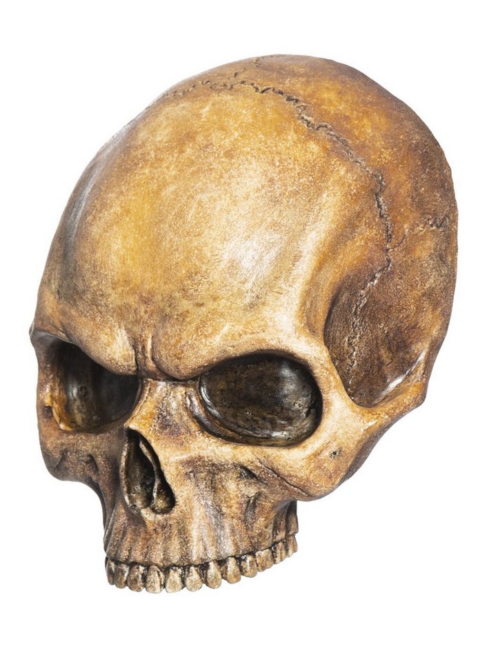 Andracor Dekoobjekt Halbierter Dekoschädel aus Gießharz Andracor Dekoobjekt Halbierter Dekoschädel aus Gießharz von Andracor