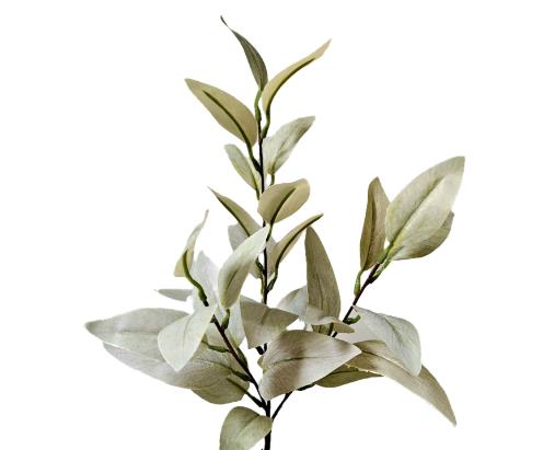 Andreas Eukalyptuszweig,67cm,SFT EUKALYPTUSZWEIG in Andreas Eukalyptuszweig,67cm,SFT EUKALYPTUSZWEIG in von Andreas