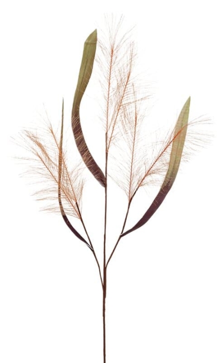 Andreas Soft flower 'Schilfgras'  in 110cm, aprikose von Andreas