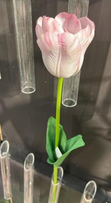 Andreas Tulpe,franz.'Deluxe',65cm TULPE in von Andreas