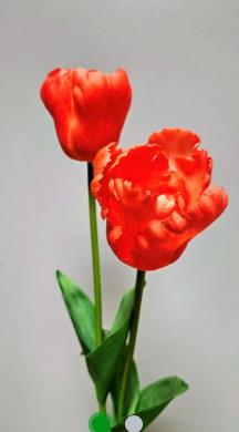 Andreas Tulpe,franz.'Deluxe',65cm  in von Andreas