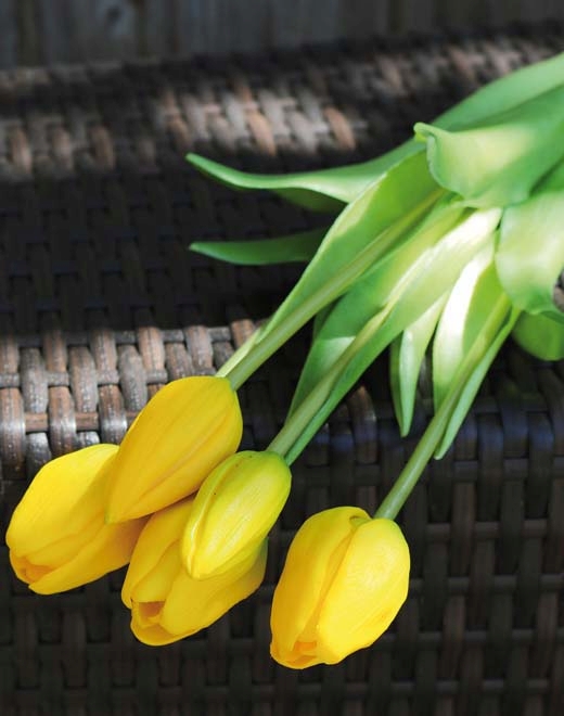 Andreas Tulpenbund, 5-f, 47cm, RT  in französisch, gemischt von Andreas