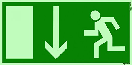 Orig. ANDRIS® Marken-Piktogramm/Symbolschild Fluchtweg/Notausgang/Rettungsweg Symbol nach unten DIN Kunststoffschild lang nachleuchtend 300x150mm von Andris