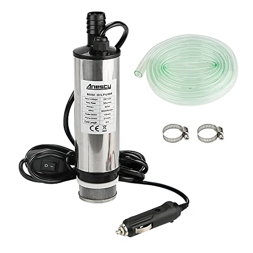 Edelstahl Transfer Pumpe 12V Φ51mm Wasserpumpe Tauchpumpe für Auto Diesel Öl Heizöl Wasser Kraftstofftransfer Pumpe mit Zigarettenanzünder, Herausnehmbarem Filter, 3m Kabel +PVC Transparenter Schlauch von Anesty
