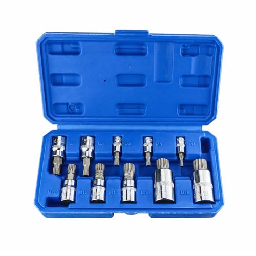 Vielzahn Nuss Satz 10tlg, 1/4", 3/8", 1/2" Steckschlüssel Satz Innenvielzahn Bit Satz M4 - M18, XZN Innen Vielzahn Nüsse Stecknüsse Satz, aus Chrom-Vanadium Stahl und S2 Stahl von Anesty