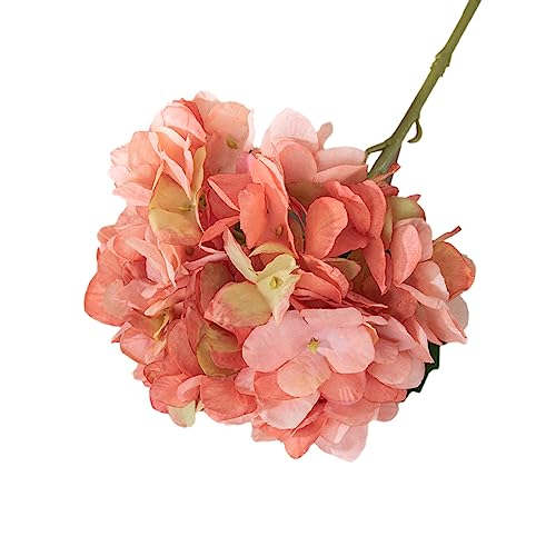 9 Stück Künstliche Hortensien Kunstblumen, Realistische Einzelne Lange Stamm Künstliche Blumen, Hortensien Blumensträuße für Hochzeit, Haus, Büro, Hotel, Partydekoration, Blumenarrangement,Orange 9 Stück Künstliche Hortensien Kunstblumen, Realistische Einzelne Lange Stamm Künstliche Blumen, Hortensien Blumensträuße für Hochzeit, Haus, Büro, Hotel, Partydekoration, Blumenarrangement,Orange von Anevous