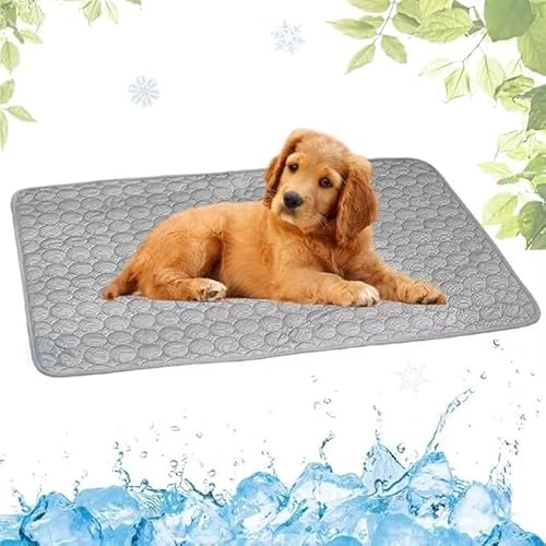 AngLink PfotenCool- Kühlt deinen Hund bei Hitze ganz von selbst (M(60X50cm),Grau) von AngLink