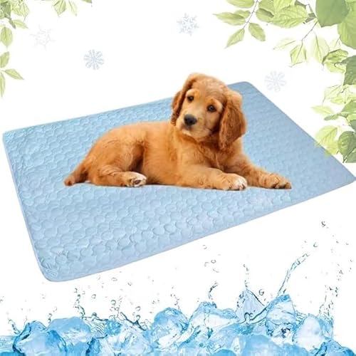AngLink PfotenCool- Kühlt deinen Hund bei Hitze ganz von selbst (M(60X50cm),Hellblau) von AngLink