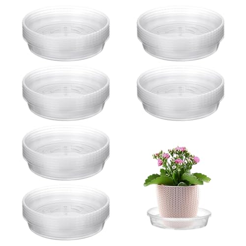 30 Stück Pflanzen Untersetzer Blumentopf Untersetzer - Transparent Kunststoff Blumentopf-Tropfschalen Für Innen- Und Außenpflanzen - Pflanzenuntersetzer Blumen Untersetzer Für Pflanzkübel (15cm) von Angaekkot