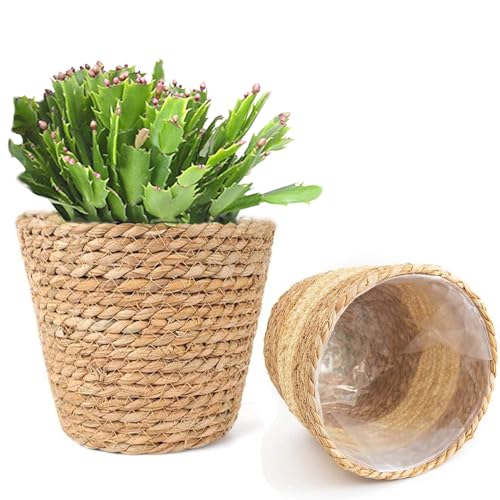 Angelkiss Pflanzenkörbe – 2er Set (18 cm) – Blumentopf Geflochten, Übertopf Mit Wasserdichtem Innenfutter – Für Drinnen & Draußen, Modernes Design. von Angelkiss