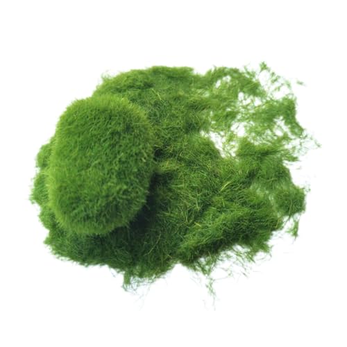 Angoily 1 Packung DIY Simulation Moos Pulver für Landschaftsdekoration Rasen Pulver Packung Realistisches Kunstmoos für Mikro Landschaft Garten und Raumdeko von Angoily