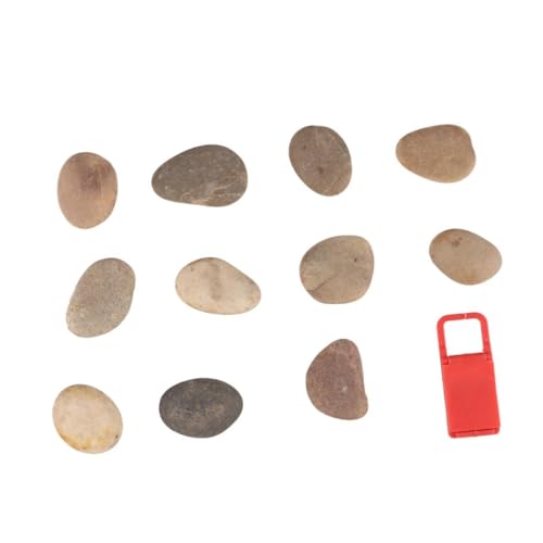 Angoily 1 Satz Teiliges DIY Malsteine mit Halterung Natursteine zum Bemalen für Zufälliger Stil für Zuhause Angoily 1 Satz Teiliges DIY Malsteine mit Halterung Natursteine zum Bemalen für Zufälliger Stil für Zuhause von Angoily