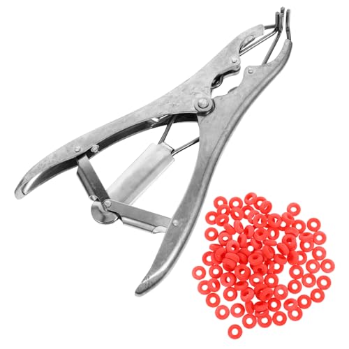Angoily 1 Satz Zopfzange Werkzeug Gebrochener Schwanzring Elastische Spreizzange Schwanzkastrationszange Spreizzange Für Schafe Tier Rostfreier Stahl Rinder Und Schafe Angoily 1 Satz Zopfzange Werkzeug Gebrochener Schwanzring Elastische Spreizzange Schwanzkastrationszange Spreizzange Für Schafe Tier Rostfreier Stahl Rinder Und Schafe von Angoily