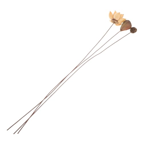Angoily Getrocknete Lotusblumen Stielen Blumenarrangements Für Tischdeko Naturgetrocknete Blumen Für Zen-raumdekor Blumendekor Für Schlafzimmer Und Haus von Angoily