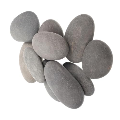 Angoily 10 Stück DIY Malsteine Glatte Flusssteine für Bastelprojekte Natürliche Kieselsteine zum Bemalen Sicher und Robust für Erwachsene Gestaltung und Dekoration von Angoily