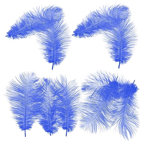 Angoily 10 Stück Straußenfedern für Hochzeitsdekoration und DIY Handwerk Lange Federn für Blumenarrangements Masken und Partys Angoily 10 Stück Straußenfedern für Hochzeitsdekoration und DIY Handwerk Lange Federn für Blumenarrangements Masken und Partys von Angoily