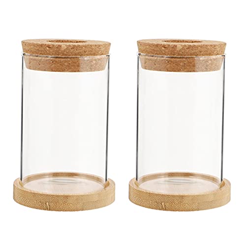 Angoily 2Pcs Glas Pflanzer Hydro Vase mit Holz Deckel Pflanzer Birne Glas Vase Propogation Station für Hydrokultur Pflanzen Home Büro Garten Dekoration von Angoily