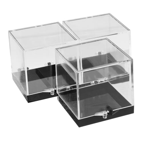 Angoily 3 Stück Schmuck-Display-Box Musterkoffer klein Rock -Vitrine -Hülle Vitrine aus Stein Edelsteinanzeige Displayrahmen aus Kunststoff Probenanzeige Showcase Plastik Schwarz Angoily 3 Stück Schmuck-Display-Box Musterkoffer klein Rock -Vitrine -Hülle Vitrine aus Stein Edelsteinanzeige Displayrahmen aus Kunststoff Probenanzeige Showcase Plastik Schwarz von Angoily