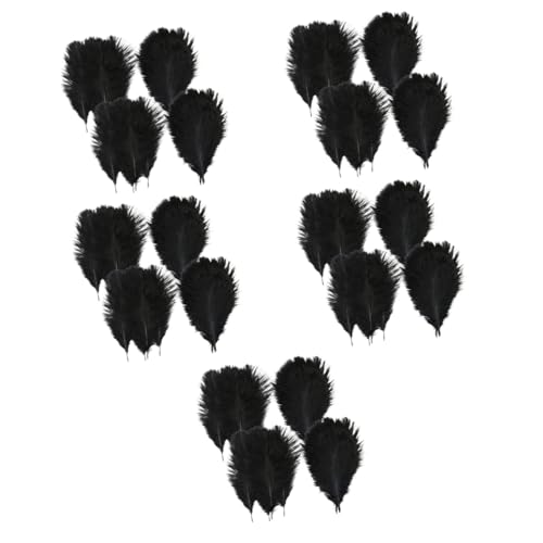 Angoily 5 Sätze Schwarze Straußfedern Für DIY Hochzeits Und Partydekorationen Natürliche Federn Für Bastelprojekte Home Decor Maskenaccessoires 20 Stück * 5 von Angoily